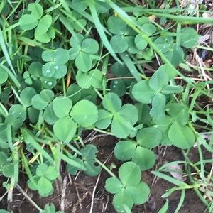 Meet your Posher, Meg